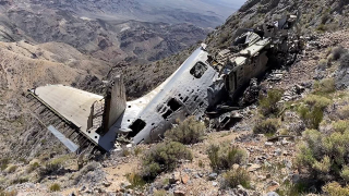 Un canal de botánica en YouTube encuentra un avión estrellado de la Guerra Fría
